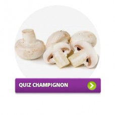 quizchampignon
